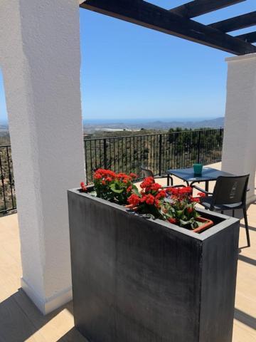 Casa Bedar Bed & Breakfast Exterior foto